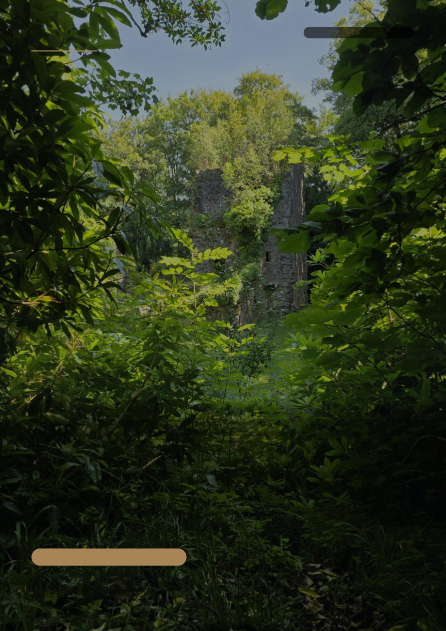 A forgotten Scottish ruin emerging through dense woodland